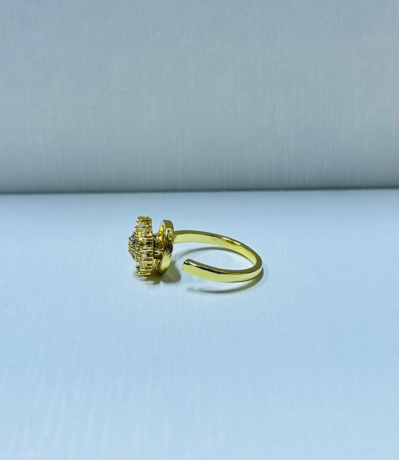 Anillo giratorio regulable