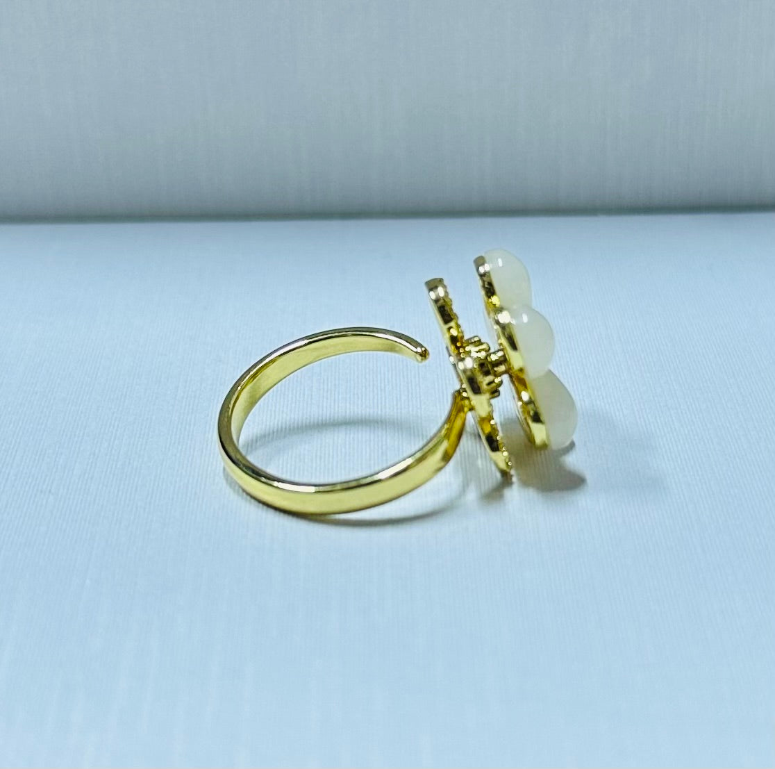 Anillo giratorio regulable