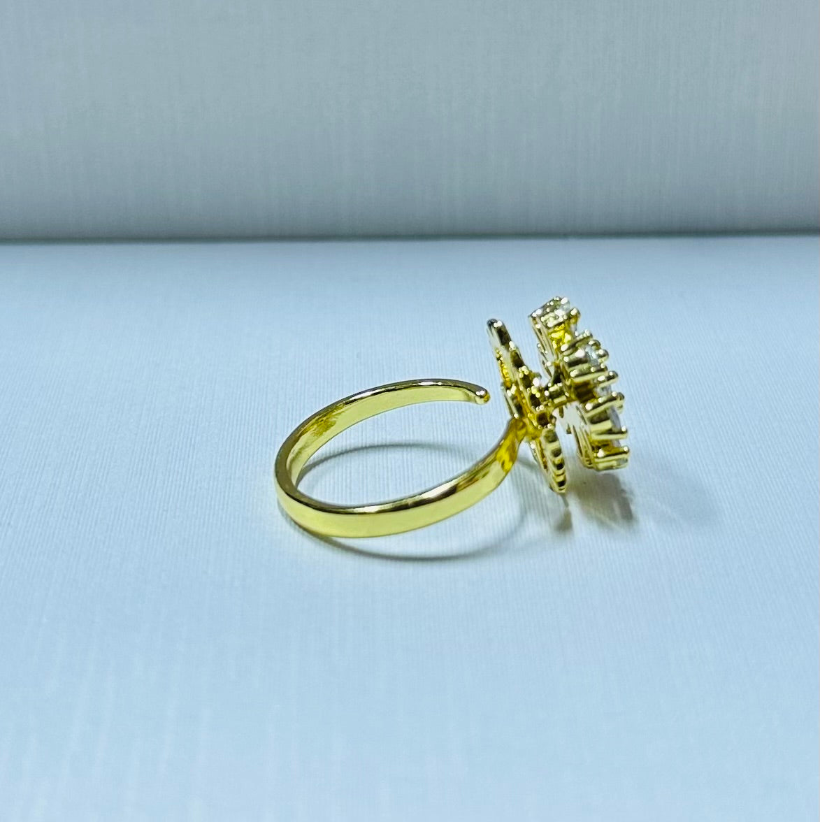 Anillo giratorio regulable