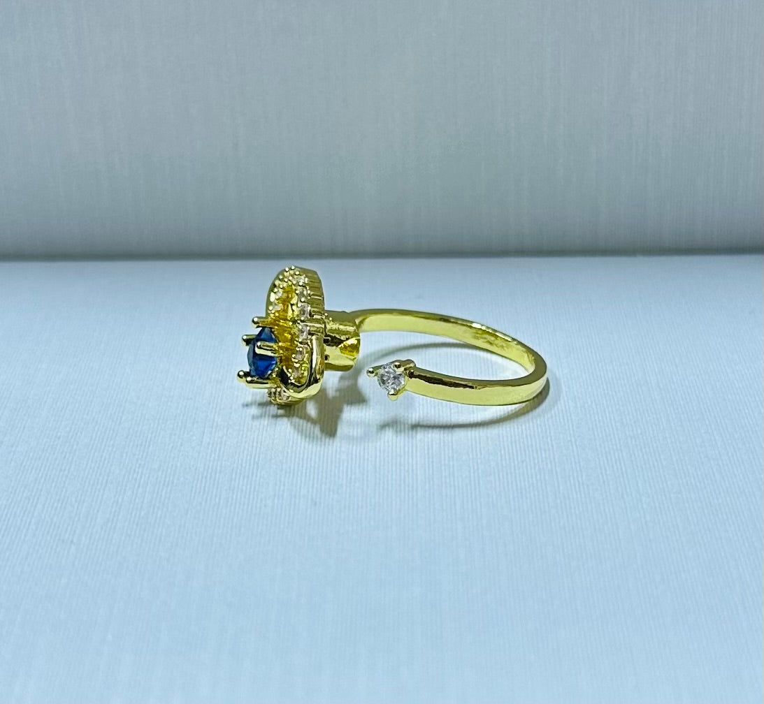Anillo Saturno giratorio regulable