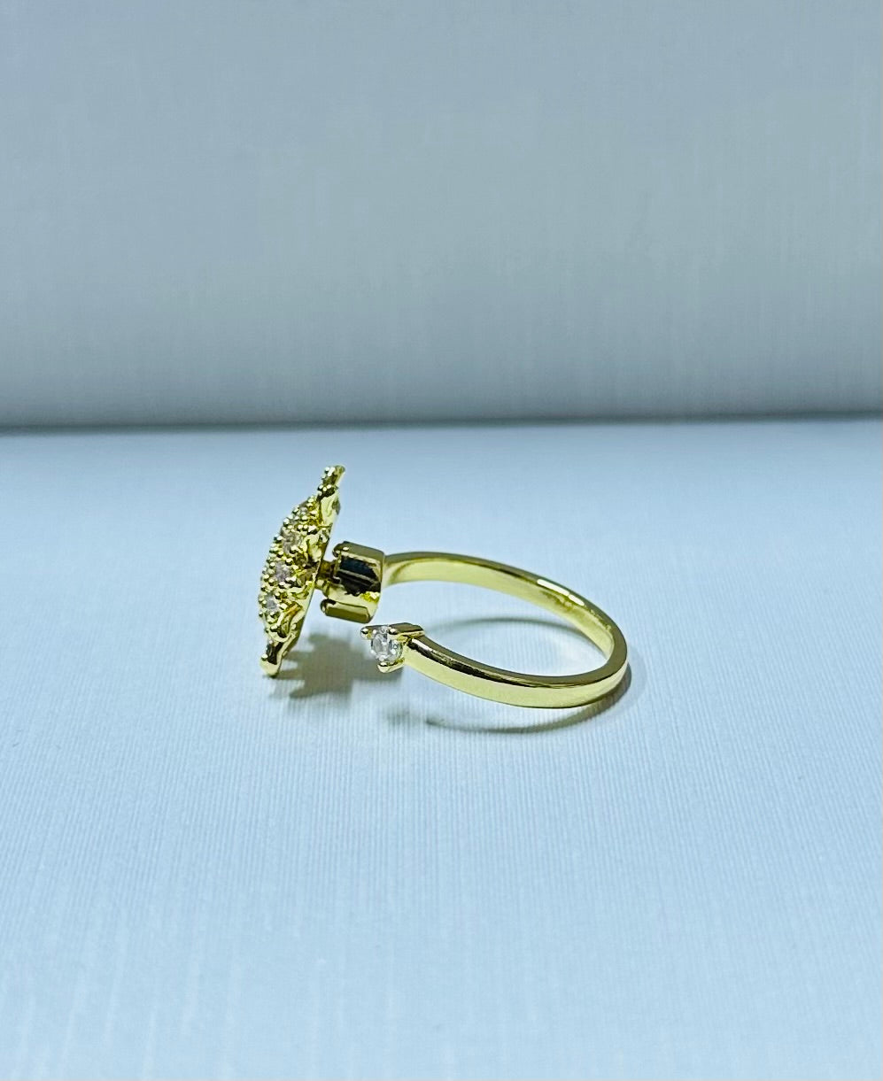 Anillo giratorio regulable