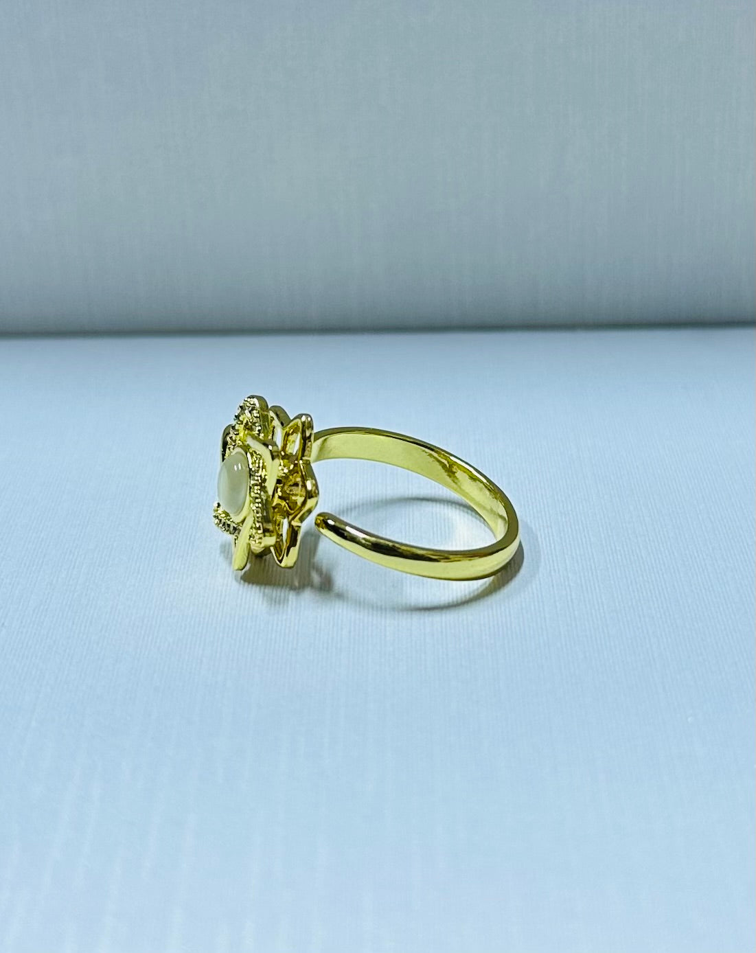 Anillo giratorio regulable