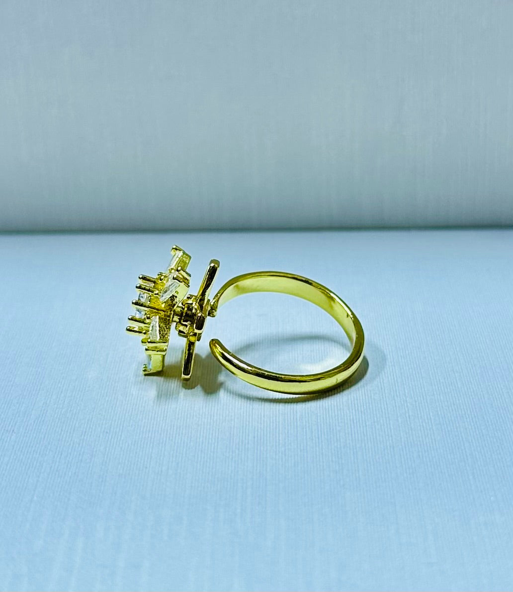 Anillo giratorio regulable