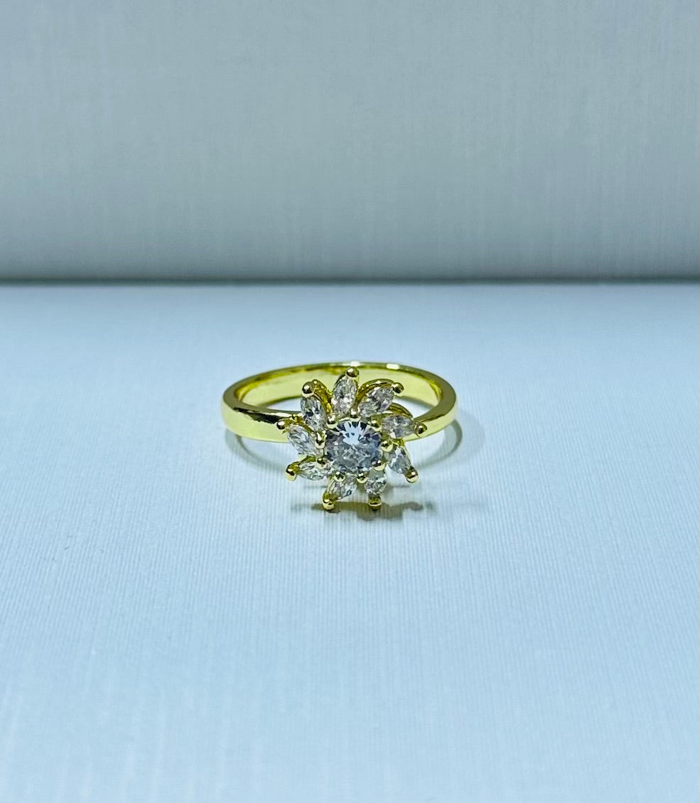 Anillo giratorio regulable