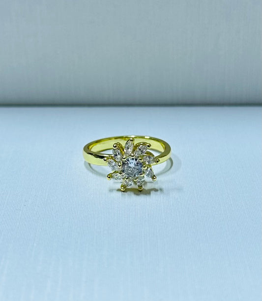Anillo giratorio regulable