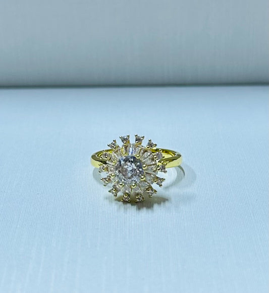 Anillo giratorio regulable