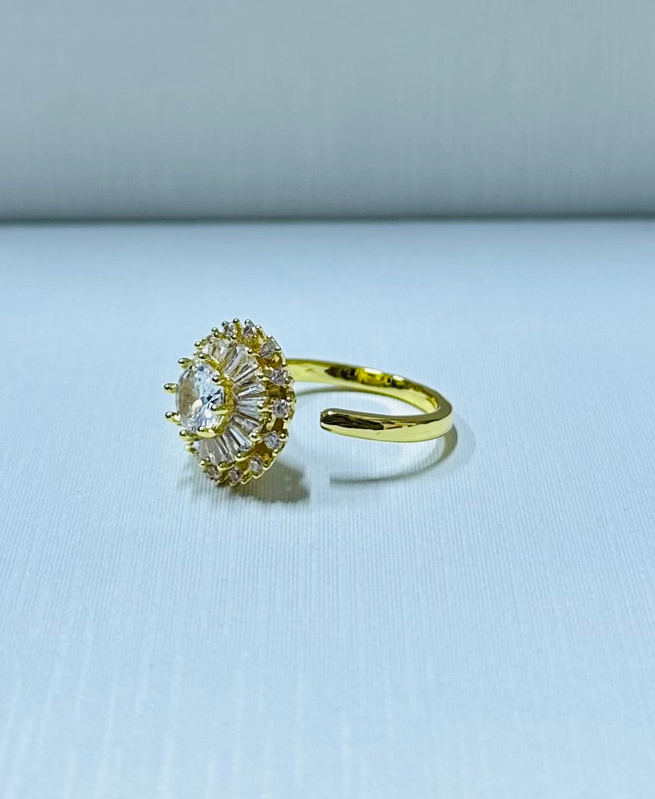 Anillo giratorio regulable