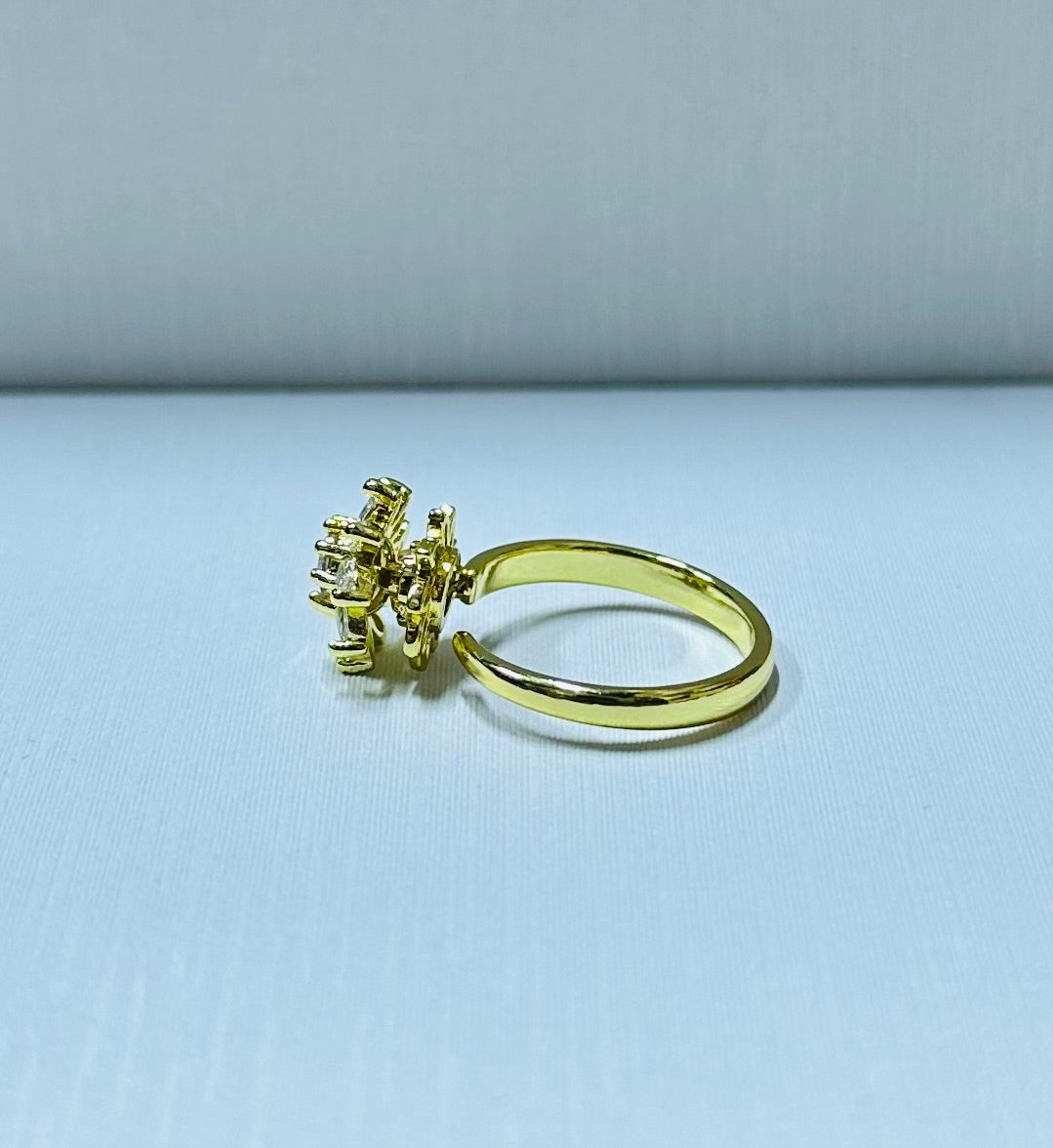 Anillo giratorio regulable