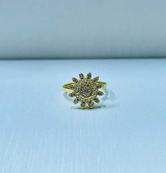 Anillo giratorio regulable