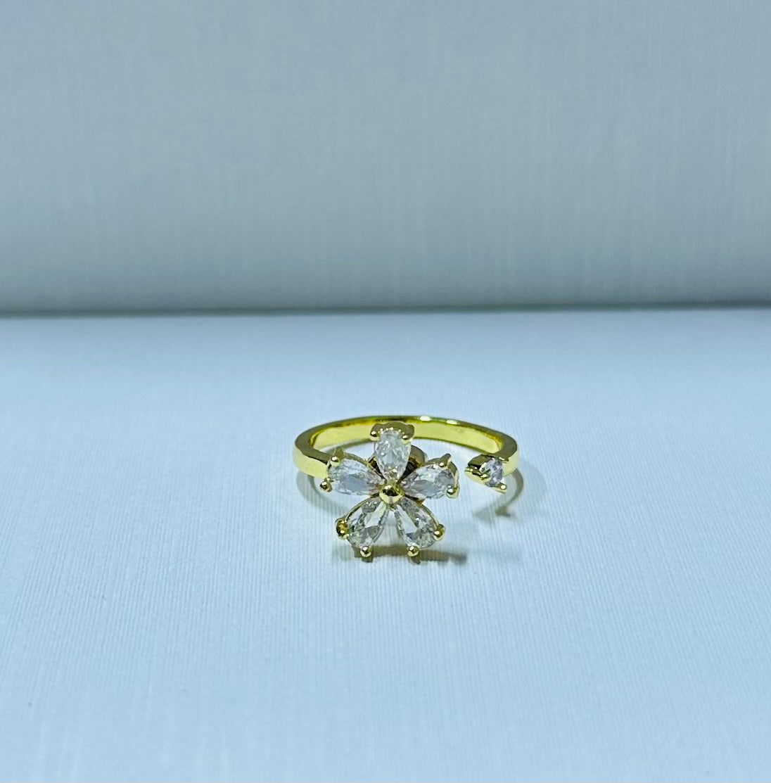 Anillo giratorio regulable