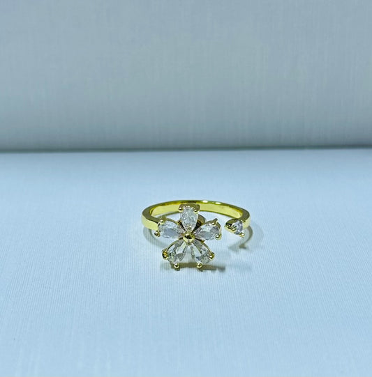 Anillo giratorio regulable