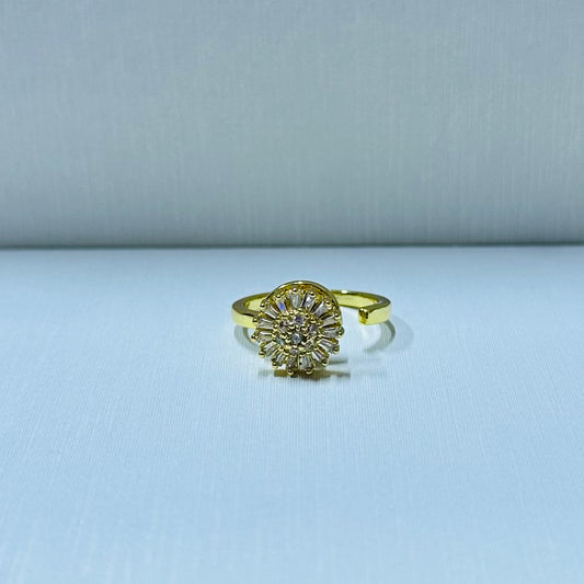 Anillo giratorio regulable