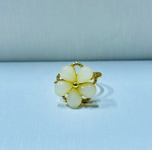 Anillo giratorio regulable