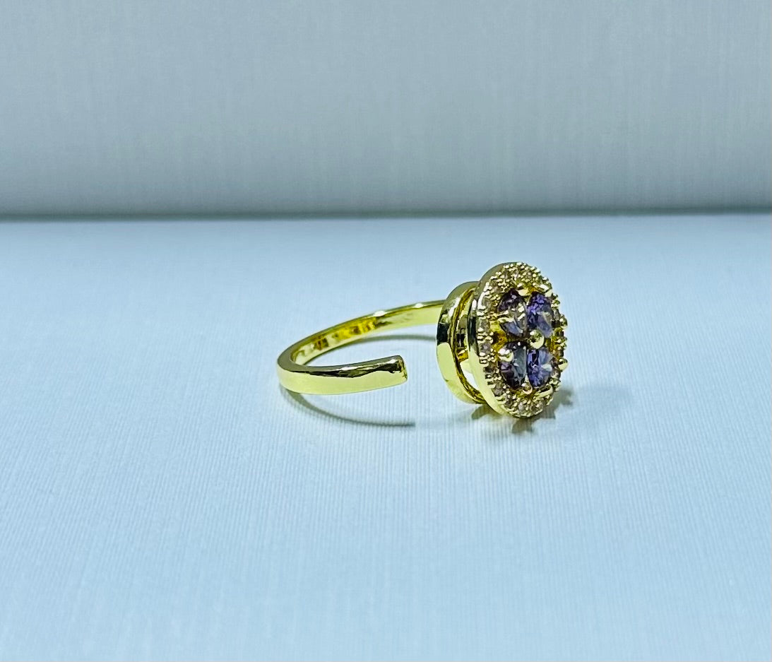 Anillo giratorio regulable