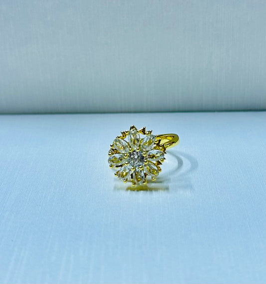 Anillo giratorio regulable