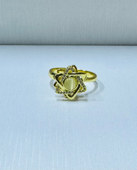 Anillo giratorio regulable